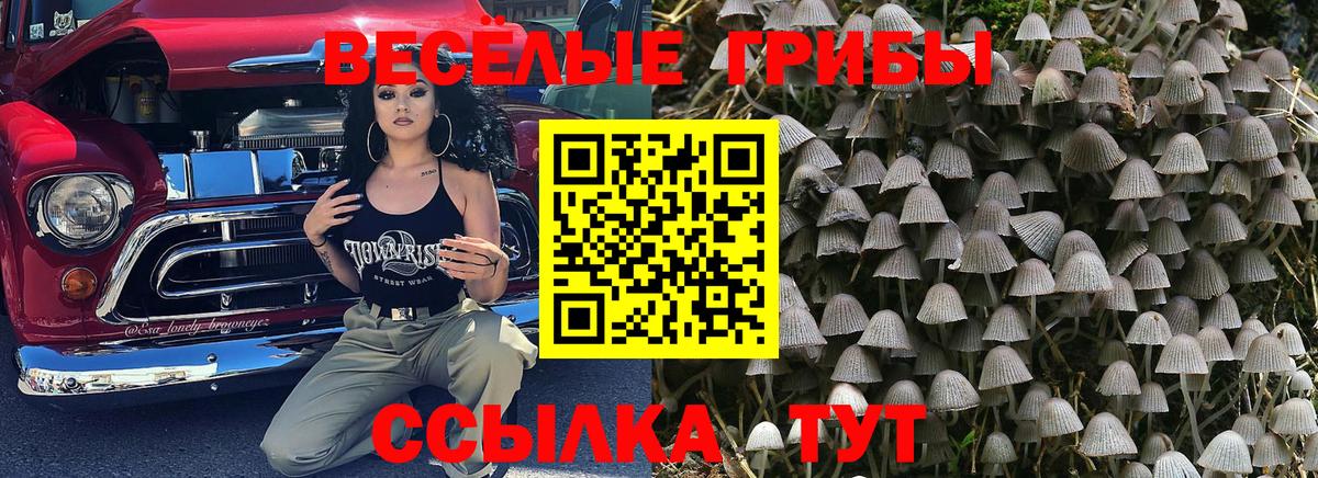 Псилоцибиновые грибы ЛСД  Вход с VPN  Кострома  Галлюциногенные грибы мухоморы 